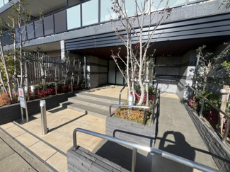 【エントランス】 | サンクレイドルふじみ野