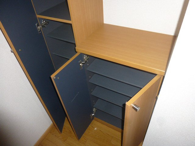 レジデンス白鳥Bの玄関