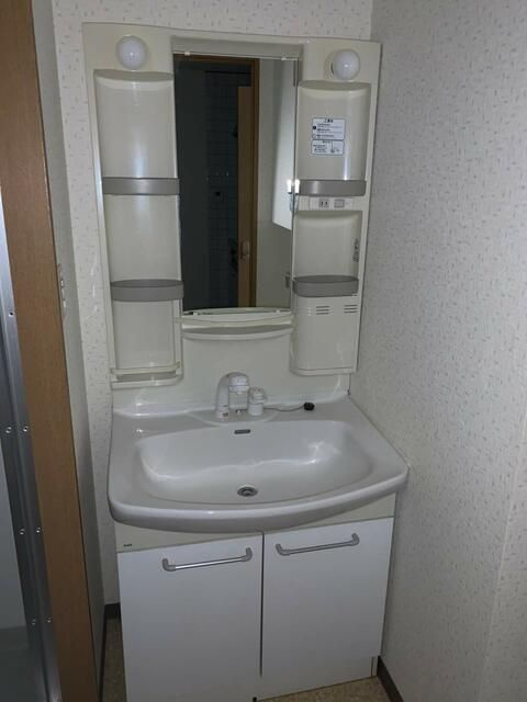 スリーベルマンションⅡの洗面所