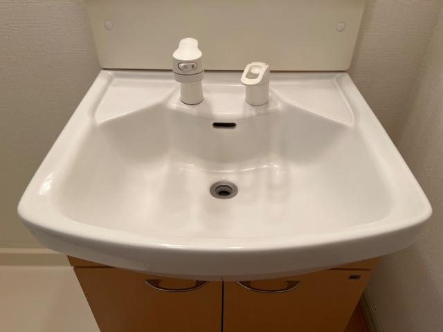 Felicia壱番館の洗面所|洗髪洗面化粧台