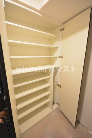 エステムコート大阪WESTⅡの収納