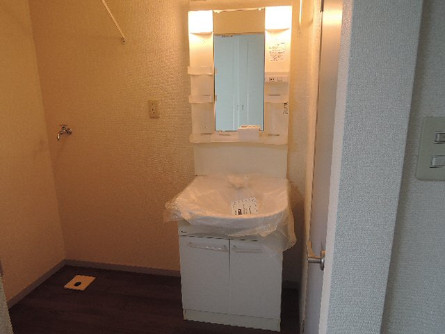 ハイツ天川の洗面所