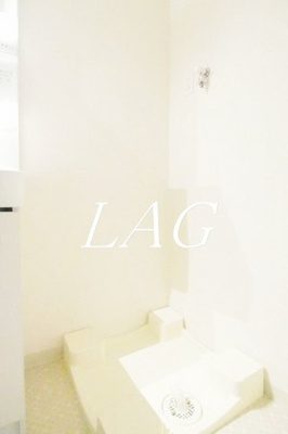 【その他】 | ブライズ亀戸ドゥエ | 室内洗濯機置き場です。