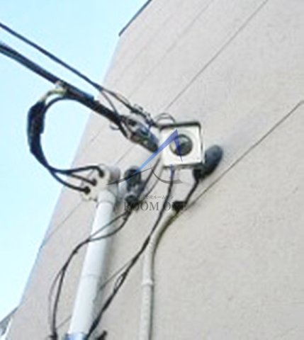 チェリーブラッサム