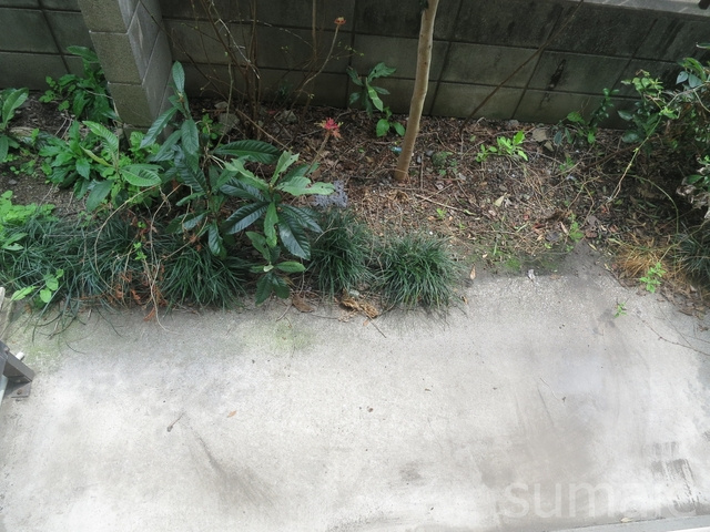 マンションカツマタの庭|庭があります☆