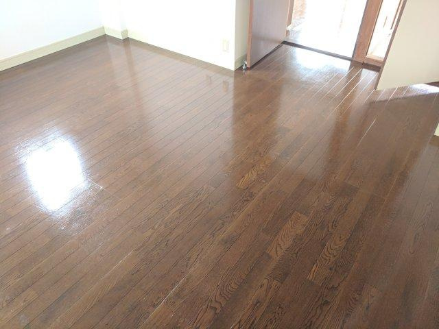 シャトレートミーⅡの内装