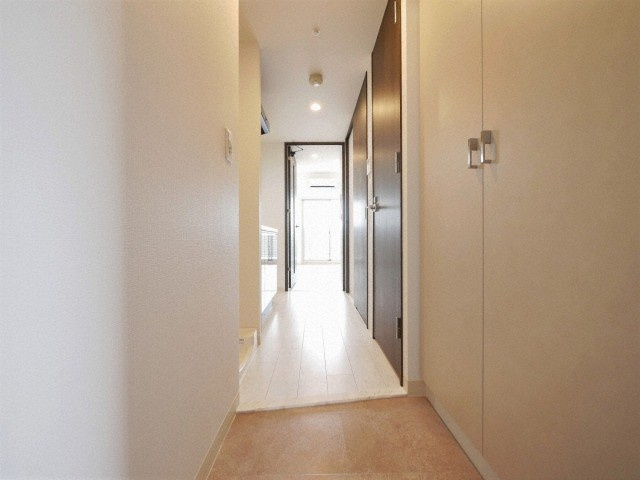 エステムコート難波Ⅶビヨンドの玄関