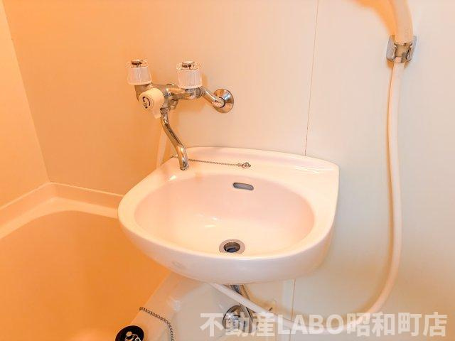 ジョイフル林寺の洗面所