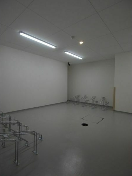 ルクール金山のその他