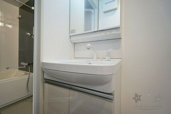 ルクール金山の洗面所