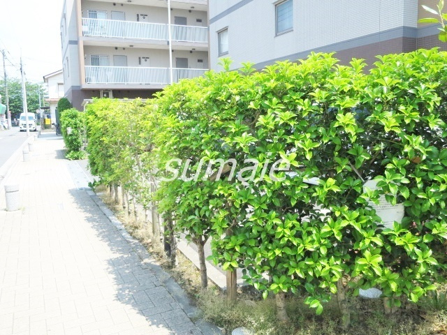 JMFレジデンス赤羽志茂のその他共用部分|植栽が素敵です☆