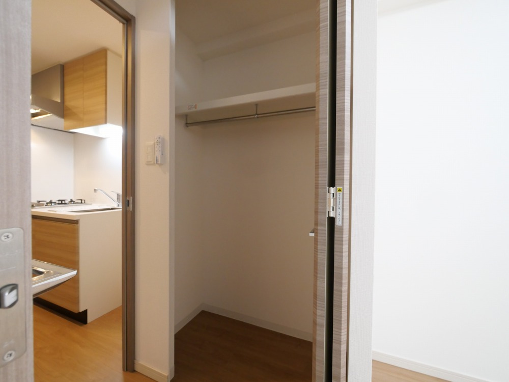 大阪市浪速区大国１丁目の賃貸マンションの収納