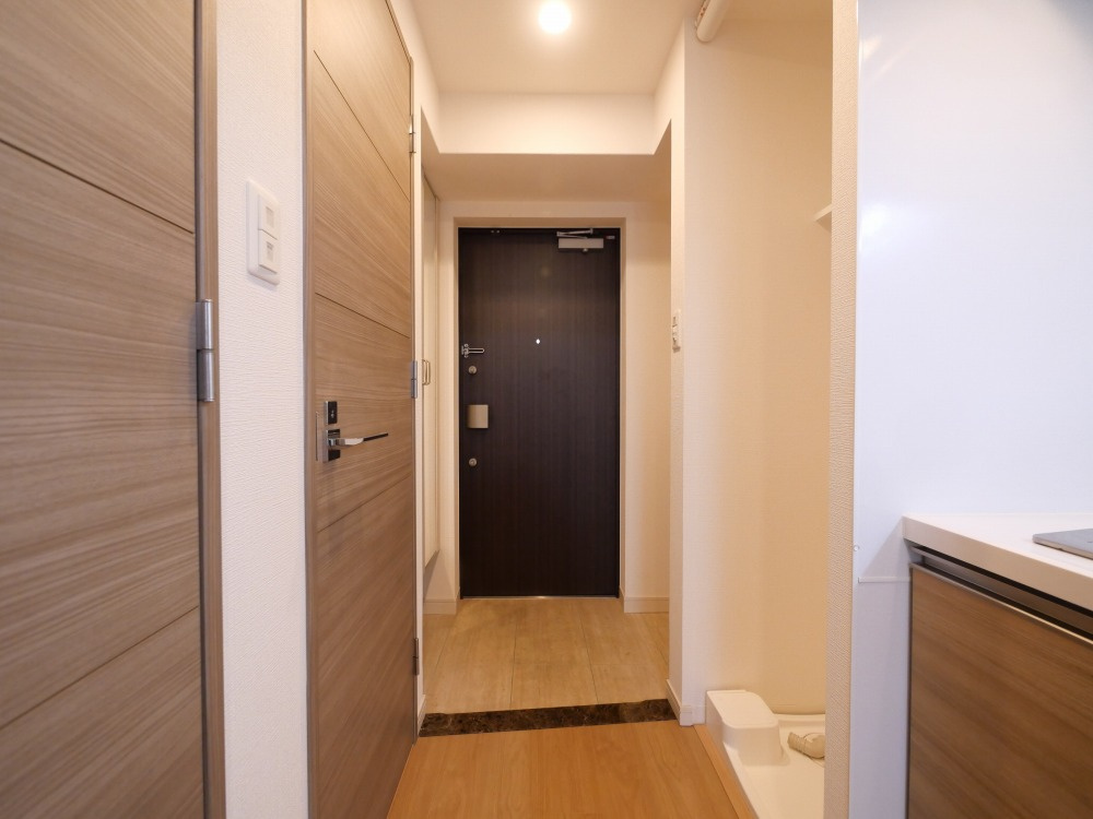 大阪市浪速区大国１丁目の賃貸マンションの玄関