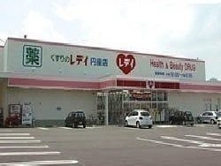 ヴィラージュⅣの周辺|レディ薬局円座店さんまで1700m