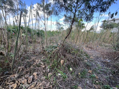  | 西原町字兼久土地