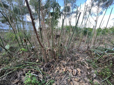  | 西原町字兼久土地