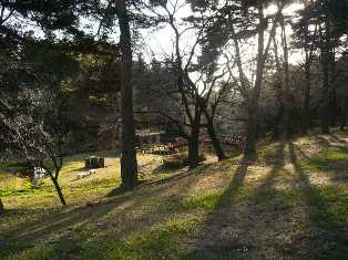 【周辺】 | フェールプリエ | 間々田八幡公園まで1,136ｍ