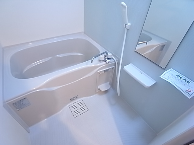 カーサイリーデの浴室