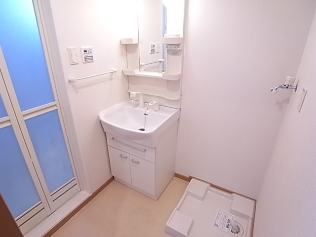 カーサイリーデの洗面所