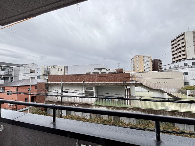 MYM成和の展望