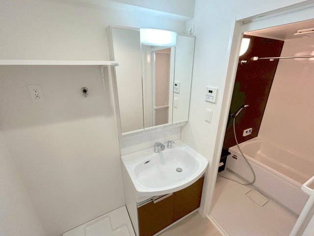 プレサンスNEO上新庄PRIMECRUISの洗面所