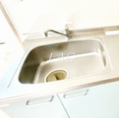 【その他】 | Ｌｕｚ（ルース） | シンクです。