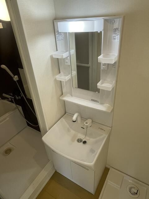 ブランテラス五香西の洗面所