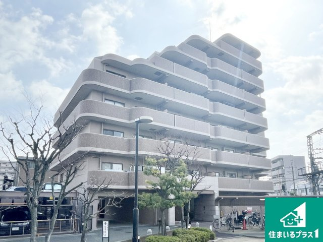 ディオ・フェルティ白鷺