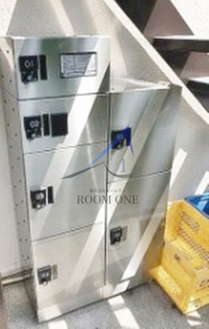 チェリーブラッサム