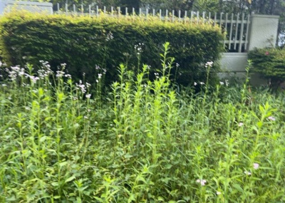 【駐輪場】 | グリーンヒル寺田１４７号棟 | マンションの駐輪場は、事前に空きがあるか確認を取ると安心です。せっかく入居したのに駐輪スペースがない！なんてことになったら大変ですよね。そこで、内見時や購入前にはまず事前に確認しておくと良いでしょう。