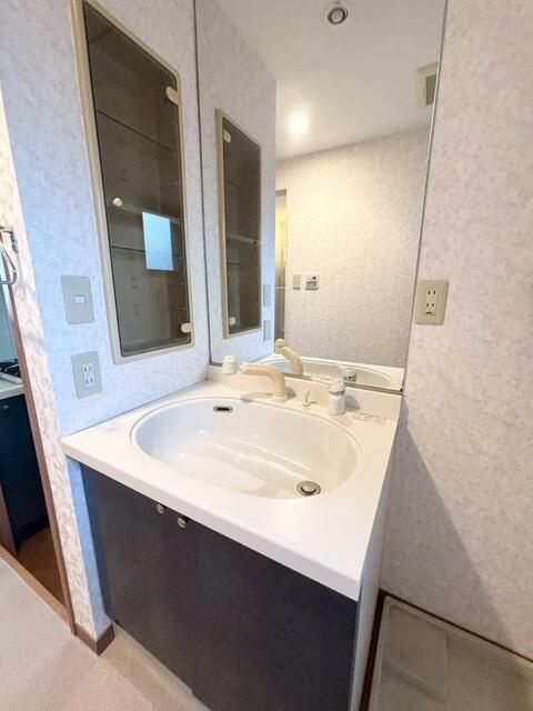 プレジール本郷ステーションプラザの洗面所