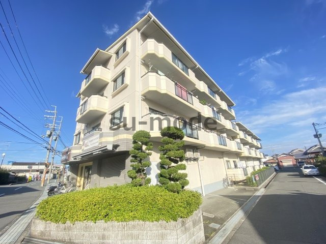 第二ドウェルなかせい