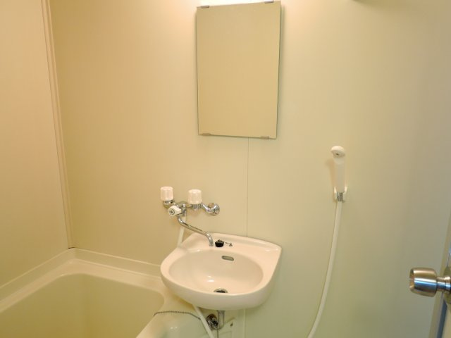 ヴィラサカイの洗面所