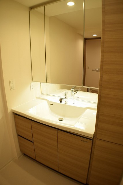 大阪市中央区東心斎橋１丁目の賃貸マンションの洗面所