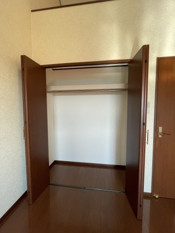 セントポーリアの収納