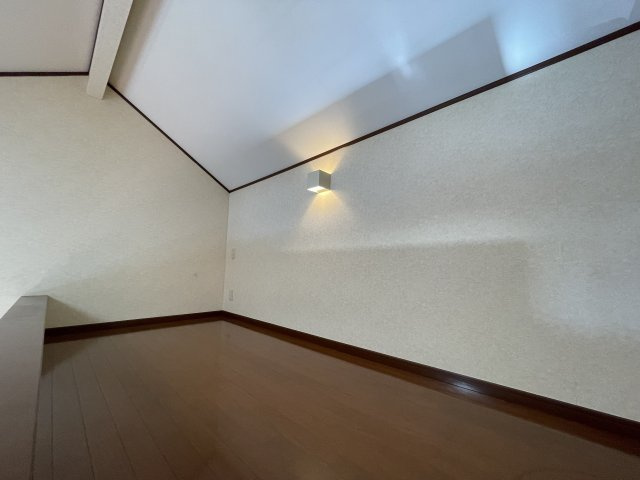 セントポーリアのその他