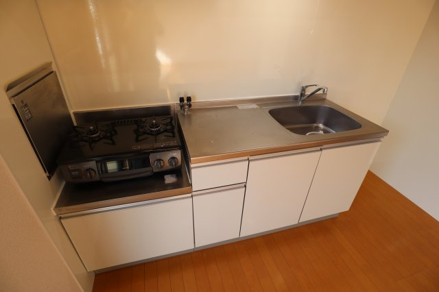 アネシス　Ｄ棟のキッチン