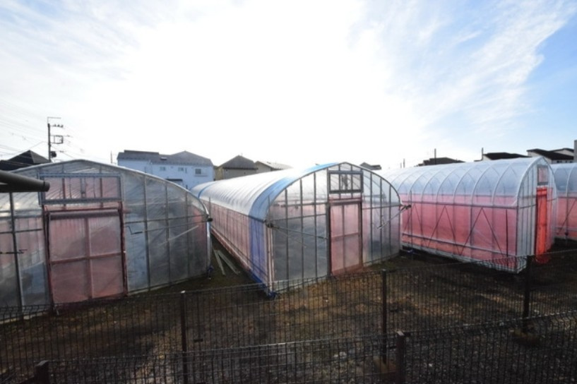 アステリアBの展望