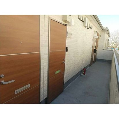 【玄関】 | サニーグレイス国立(サニーグレイスクニタチ)