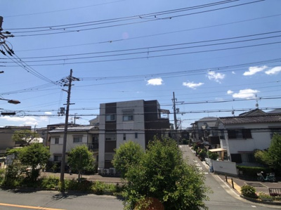 【展望】 | メドウズ