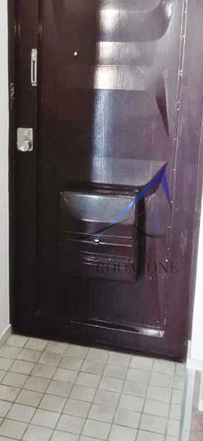 メゾン佐藤の玄関|玄関です。