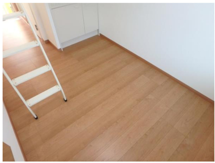 プラムフェリスの内装