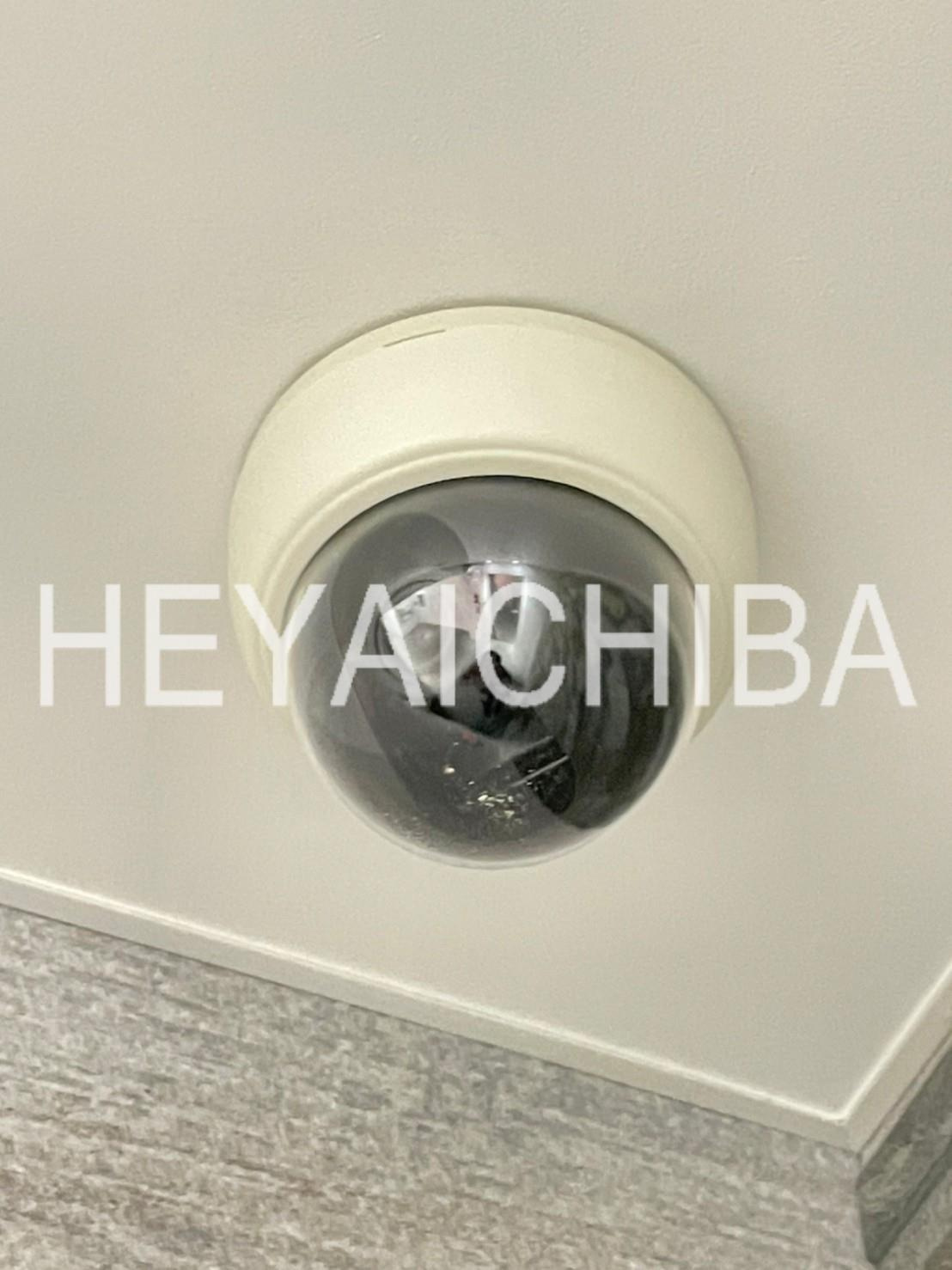 REXZY KIYOSUMI-SHIRAKAWA(レグジー清澄白河)のセキュリティ|防犯カメラ