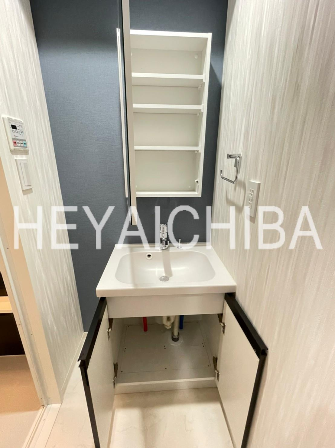 REXZY KIYOSUMI-SHIRAKAWA(レグジー清澄白河)の洗面所|収納