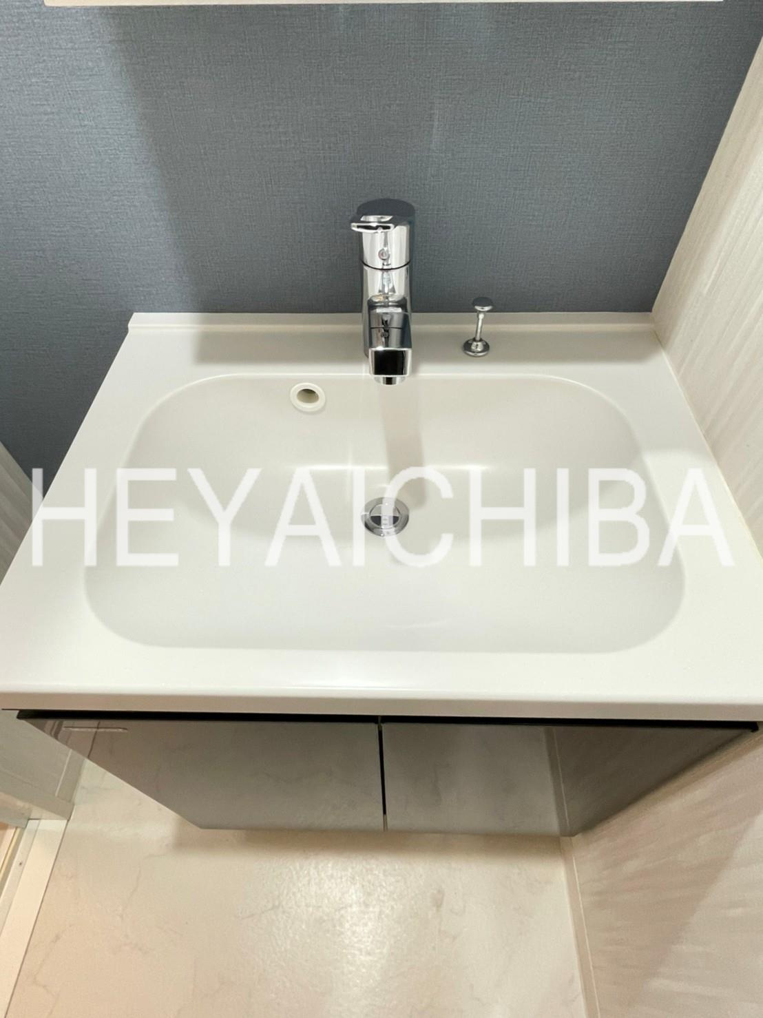 REXZY KIYOSUMI-SHIRAKAWA(レグジー清澄白河)の洗面所|洗面台