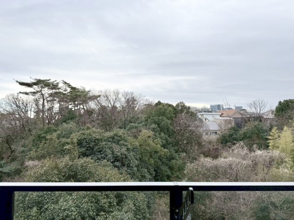 【展望】 | 【物件からの眺望】7階からの眺望です！！