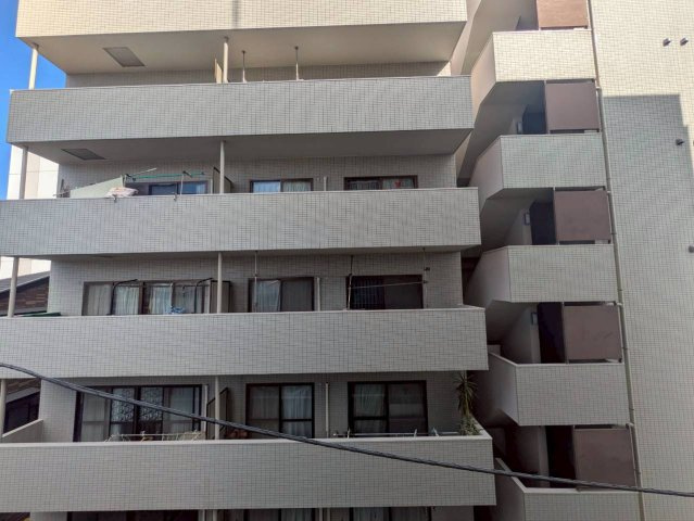 ｍａｉｓｏｎ　ｙの展望