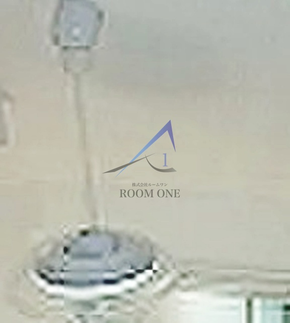 プラムフェリス