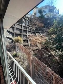 コーポ弘明寺の庭