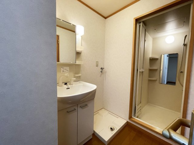 ロイヤル新本町の洗面所